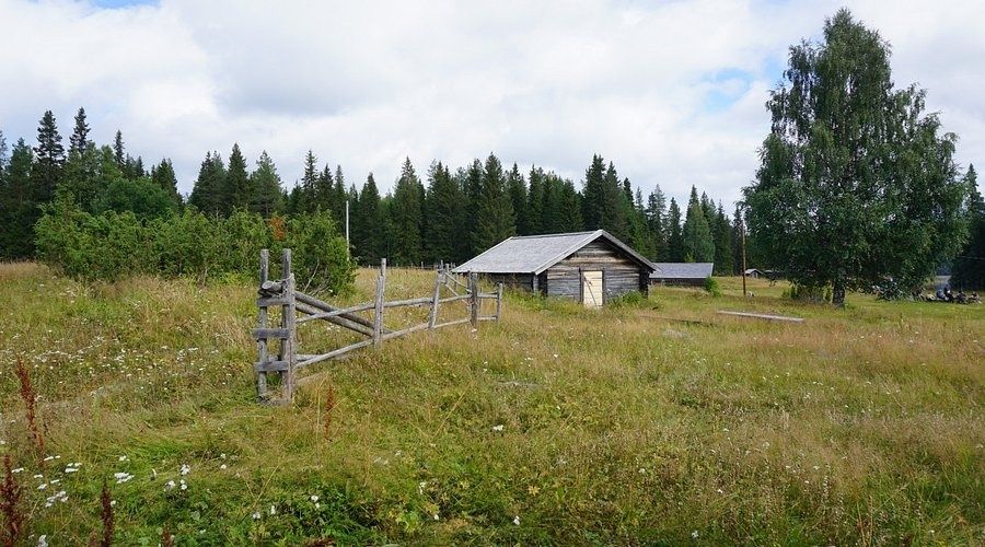 Äng med gärdesgård och timrad fäbodstuga i skogsmiljö